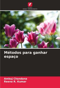 Produktbild: M&eacute;todos para ganhar espa&ccedil;o