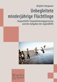 Bild vom Artikel Unbegleitete minderjährige Flüchtlinge vom Autor Brigitte Hargasser