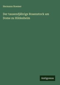 Produktbild: Der tausendj&auml;hrige Rosenstock am Dome zu Hildesheim