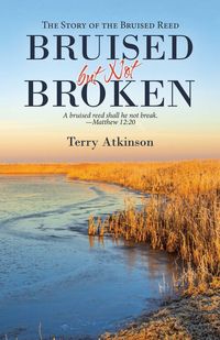 Produktbild: Bruised but Not Broken
