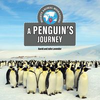 Produktbild: A Penguin's Journey
