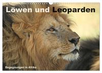 Produktbild: L&ouml;wen und Leoparden - Begegnungen in Afrika (Wandkalender 2027 DIN A3 quer), CALVENDO Monatskalender