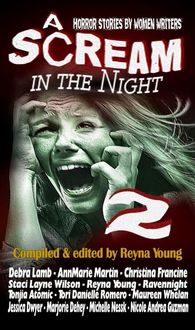 Produktbild: A Scream in the Night 2