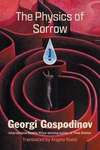 Produktbild: The Physics of Sorrow