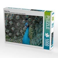 Produktbild: CALVENDO Puzzle Stolzer Pfau | 1000 Teile Lege-Gr&ouml;&szlig;e 64x48cm Foto-Puzzle f&uuml;r gl&uuml;ckliche Stunden