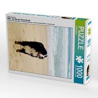 Produktbild: CALVENDO Puzzle Ein Motiv aus dem Kalender B&Auml;R - Der Berner Sennenhund | 1000 Teile Lege-Gr&ouml;&szlig;e 64x48cm Foto-Puzzle f&uuml;r gl&uuml;ckliche Stunden