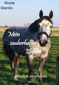 Produktbild: Mein zauberhafter Elefant