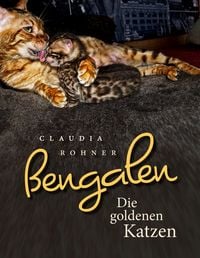 Bild vom Artikel Bengalen - die goldenen Katzen vom Autor 