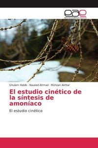 Produktbild: El estudio cin&eacute;tico de la s&iacute;ntesis de amon&iacute;aco