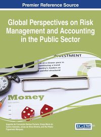 Bild vom Artikel Global Perspectives on Risk Management and Accounting in the Public Sector vom Autor 