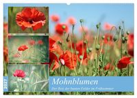 Produktbild: Mohnblumen (Wandkalender 2027 DIN A2 quer), CALVENDO Monatskalender