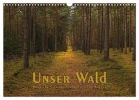 Produktbild: Unser Wald - Magische Sichten in norddeutsche W&auml;lder (Wandkalender 2027 DIN A3 quer), CALVENDO Monatskalender