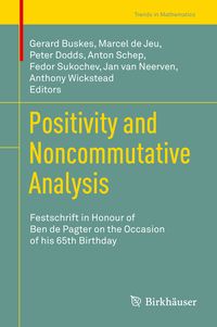 Produktbild: Positivity and Noncommutative Analysis