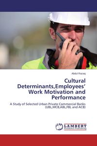 Produktbild: Cultural Determinants,Employees' Work Motivation and Performance