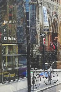 Produktbild: Bits of Life