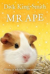 Produktbild: Mr Ape