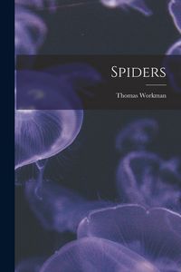 Produktbild: Spiders