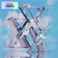 Bild vom Artikel FORTE (2LP Gatefold) vom Autor Pan-Pot