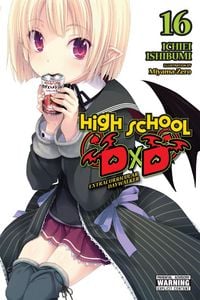 Produktbild: High School DXD, Vol. 16 (Light Novel)