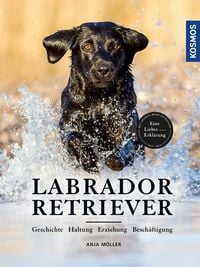 Produktbild: Labrador Retriever