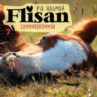 Produktbild: Sommardr&ouml;mmar