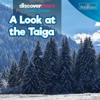 Produktbild: A Look at the Taiga