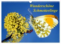 Produktbild: Wundersch&ouml;ne Schmetterlinge (Wandkalender 2026 DIN A3 quer), CALVENDO Monatskalender