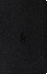Produktbild: ESV Premium Gift Bible (Trutone, Midnight, Flame Design)