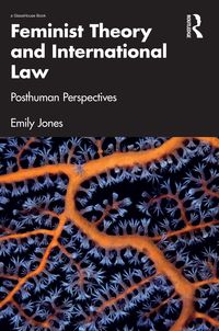 Produktbild: Feminist Theory and International Law