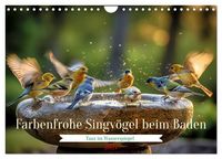Produktbild: Farbenfrohe Singv&ouml;gel beim Baden (Wandkalender 2027 DIN A4 quer), CALVENDO Monatskalender