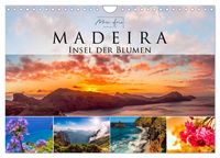 Produktbild: Madeira - Insel der Blumen 2027 (Wandkalender 2027 DIN A4 quer), CALVENDO Monatskalender