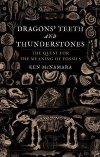 Produktbild: Dragons' Teeth and Thunderstones
