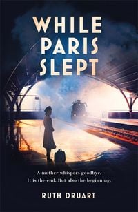 Produktbild: Druart, R: While Paris Slept: A mother faces a heartbreaking