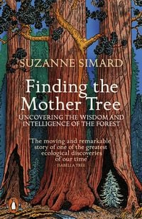 Bild vom Artikel Finding the Mother Tree vom Autor Suzanne Simard
