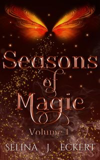 Produktbild: Seasons of Magic Volume 1
