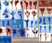 Produktbild: Karl Blossfeldt