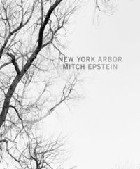 Produktbild: New York Arbor