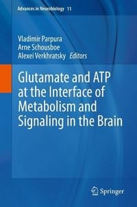 Produktbild: Glutamate and ATP at the Interface of Metabolism and Signaling in the Brain