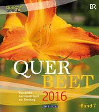 Produktbild: Querbeet Band 7 (2016)