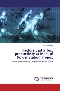 Produktbild: Factors that affect productivity at Medupi Power Station Project