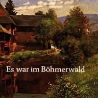Bild vom Artikel Es War Im Böhmerwald vom Autor Jung