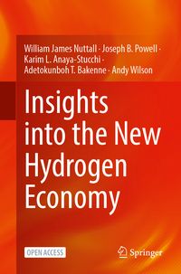 Produktbild: Insights into the New Hydrogen Economy