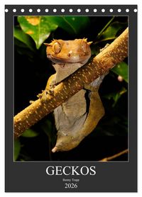 Produktbild: GECKOS (Tischkalender 2026 DIN A5 hoch), CALVENDO Monatskalender