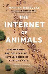 Produktbild: The Internet of Animals
