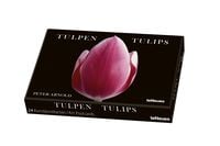 Bild vom Artikel Tulpen, Kunstkartenbox vom Autor Peter Arnold