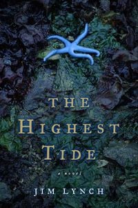 Produktbild: The Highest Tide