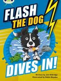Produktbild: Bug Club Independent Fiction Year 3 Brown B Flash the Dog Dives In!