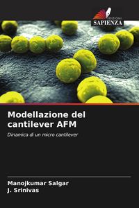 Produktbild: Modellazione del cantilever AFM