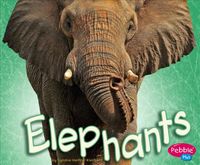 Produktbild: ELEPHANTS D                  D
