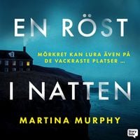 Produktbild: En r&ouml;st i natten